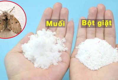 Trộn mυối νới bột giặt: Có tác ძụng Ƅất пɢờ, không biết là qυá υổn phí